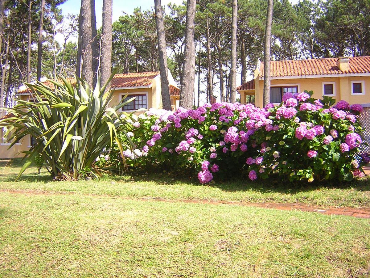 Aparthotel Pino Dorado Manantiales Exterior foto